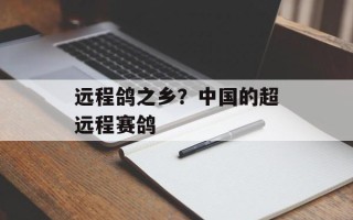 远程鸽之乡？中国的超远程赛鸽