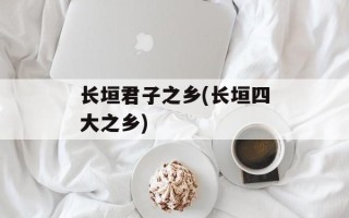长垣君子之乡(长垣四大之乡)
