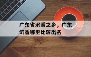 广东省沉香之乡，广东沉香哪里比较出名