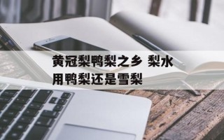 黄冠梨鸭梨之乡 梨水用鸭梨还是雪梨