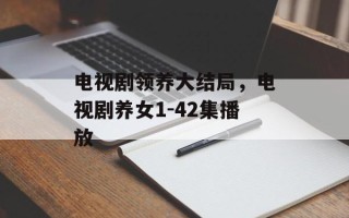 电视剧领养大结局，电视剧养女1-42集播放