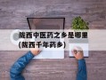 陇西中医药之乡是哪里(陇西千年药乡)