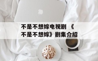 不是不想嫁电视剧 《不是不想嫁》剧集介绍
