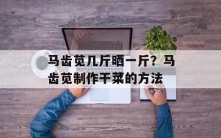 马齿苋几斤晒一斤？马齿苋制作干菜的方法