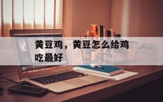 黄豆鸡，黄豆怎么给鸡吃最好