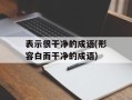 表示很干净的成语(形容白而干净的成语)
