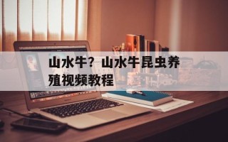 山水牛？山水牛昆虫养殖视频教程
