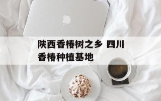 陕西香椿树之乡 四川香椿种植基地