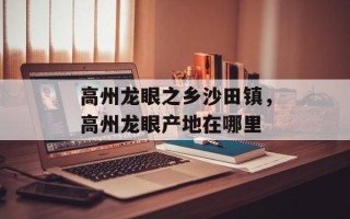 高州龙眼之乡沙田镇，高州龙眼产地在哪里
