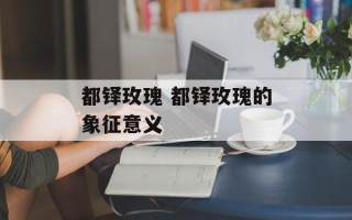都铎玫瑰 都铎玫瑰的象征意义