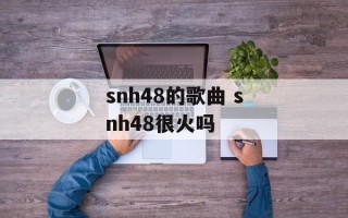snh48的歌曲 snh48很火吗
