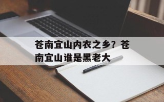 苍南宜山内衣之乡？苍南宜山谁是黑老大