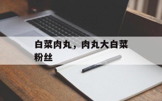 白菜肉丸，肉丸大白菜粉丝