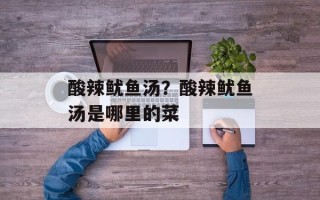 酸辣鱿鱼汤？酸辣鱿鱼汤是哪里的菜