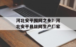 河北安平围网之乡？河北安平县丝网生产厂家