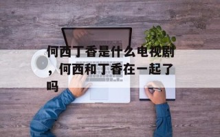 何西丁香是什么电视剧，何西和丁香在一起了吗