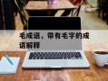 毛成语，带有毛字的成语解释