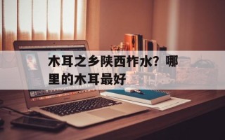 木耳之乡陕西柞水？哪里的木耳最好