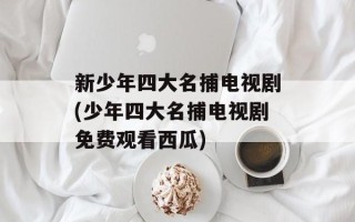 新少年四大名捕电视剧(少年四大名捕电视剧免费观看西瓜)