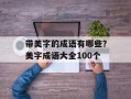 带美字的成语有哪些？美字成语大全100个