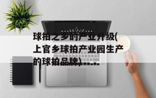 球拍之乡的产业升级(上官乡球拍产业园生产的球拍品牌)