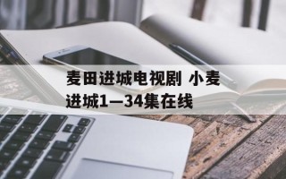 麦田进城电视剧 小麦进城1—34集在线