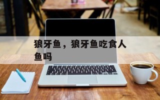 狼牙鱼，狼牙鱼吃食人鱼吗