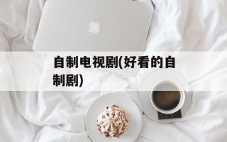 自制电视剧(好看的自制剧)