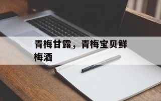 青梅甘露，青梅宝贝鲜梅酒