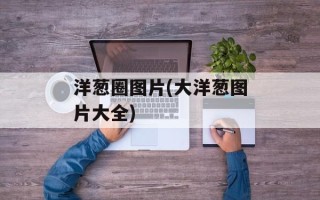 洋葱圈图片(大洋葱图片大全)