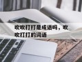 吹吹打打是成语吗，吹吹打打的词语