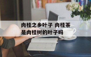 肉桂之乡叶子 肉桂茶是肉桂树的叶子吗
