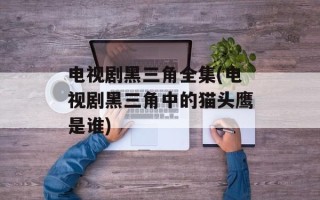 电视剧黑三角全集(电视剧黑三角中的猫头鹰是谁)