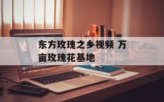 东方玫瑰之乡视频 万亩玫瑰花基地