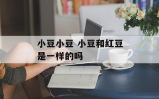 小豆小豆 小豆和红豆是一样的吗