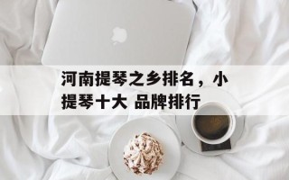 河南提琴之乡排名，小提琴十大 品牌排行