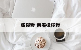 橄榄糁 南姜橄榄糁
