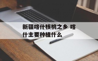 新疆喀什核桃之乡 喀什主要种植什么