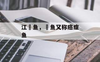 江鮰鱼，鮰鱼又称癌症鱼