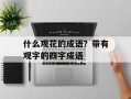 什么观花的成语？带有观字的四字成语