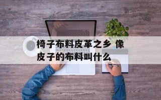 椅子布料皮革之乡 像皮子的布料叫什么
