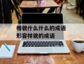 相貌什么什么的成语 形容样貌的成语