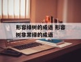 形容绿树的成语 形容树非常绿的成语