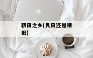 粮田之乡(良田还是粮田)