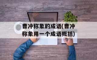曹冲称象的成语(曹冲称象用一个成语概括)