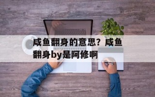 咸鱼翻身的意思？咸鱼翻身by是阿修啊