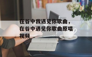 在谷中我遇见你歌曲，在谷中遇见你歌曲原唱视频