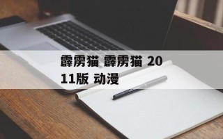 霹雳猫 霹雳猫 2011版 动漫