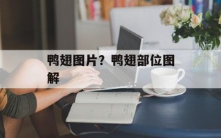 鸭翅图片？鸭翅部位图解