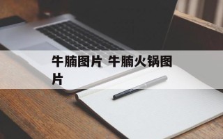 牛腩图片 牛腩火锅图片